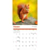 image Squirrels 2026 Wall Calendar Fourth Alternate Image