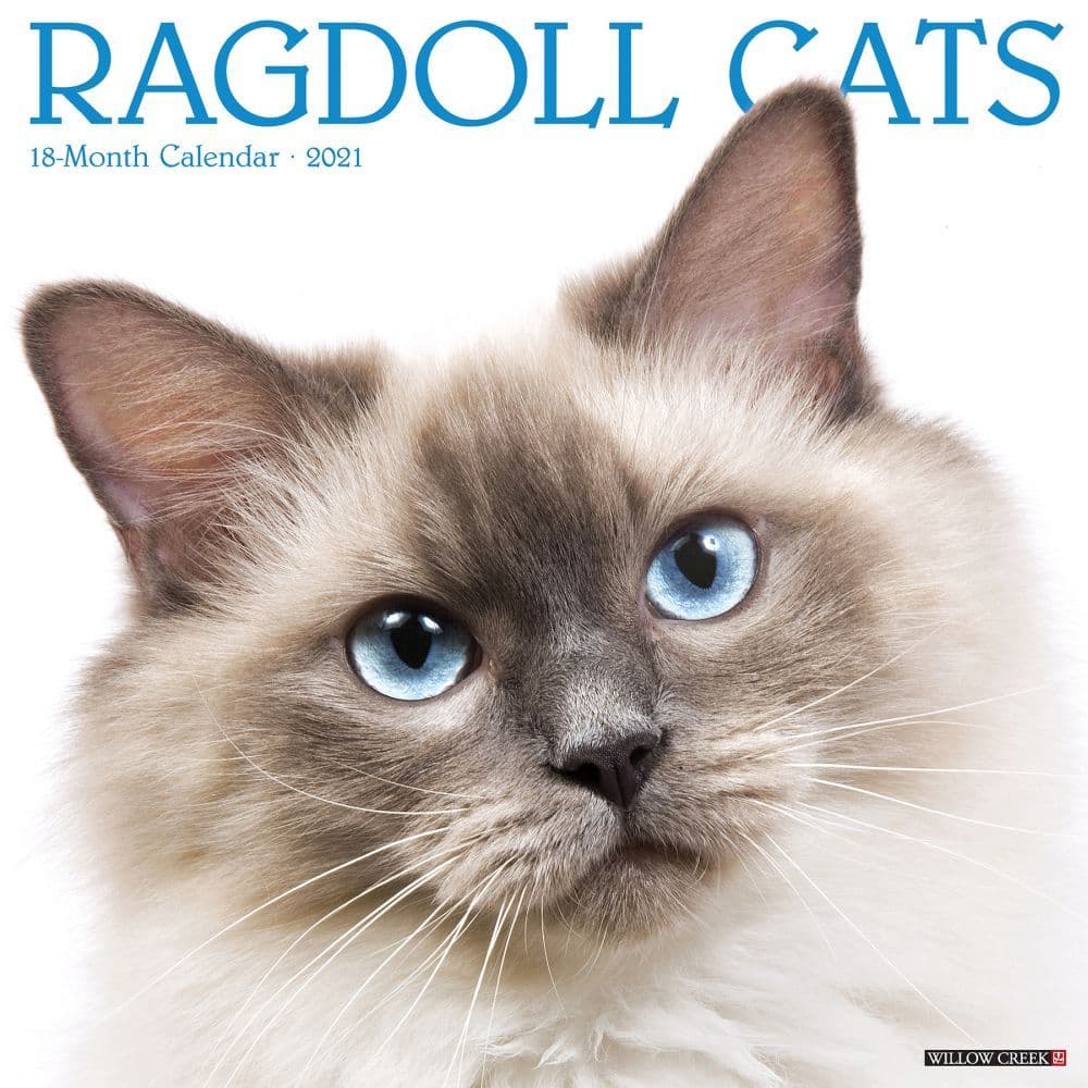 Ragdoll Cats Wall Calendar