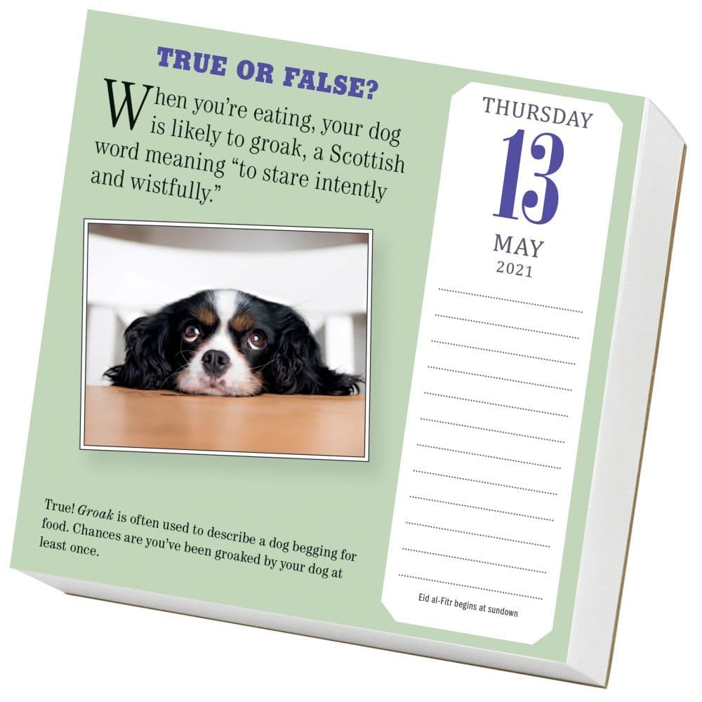 Dog Trivia Desk Calendar