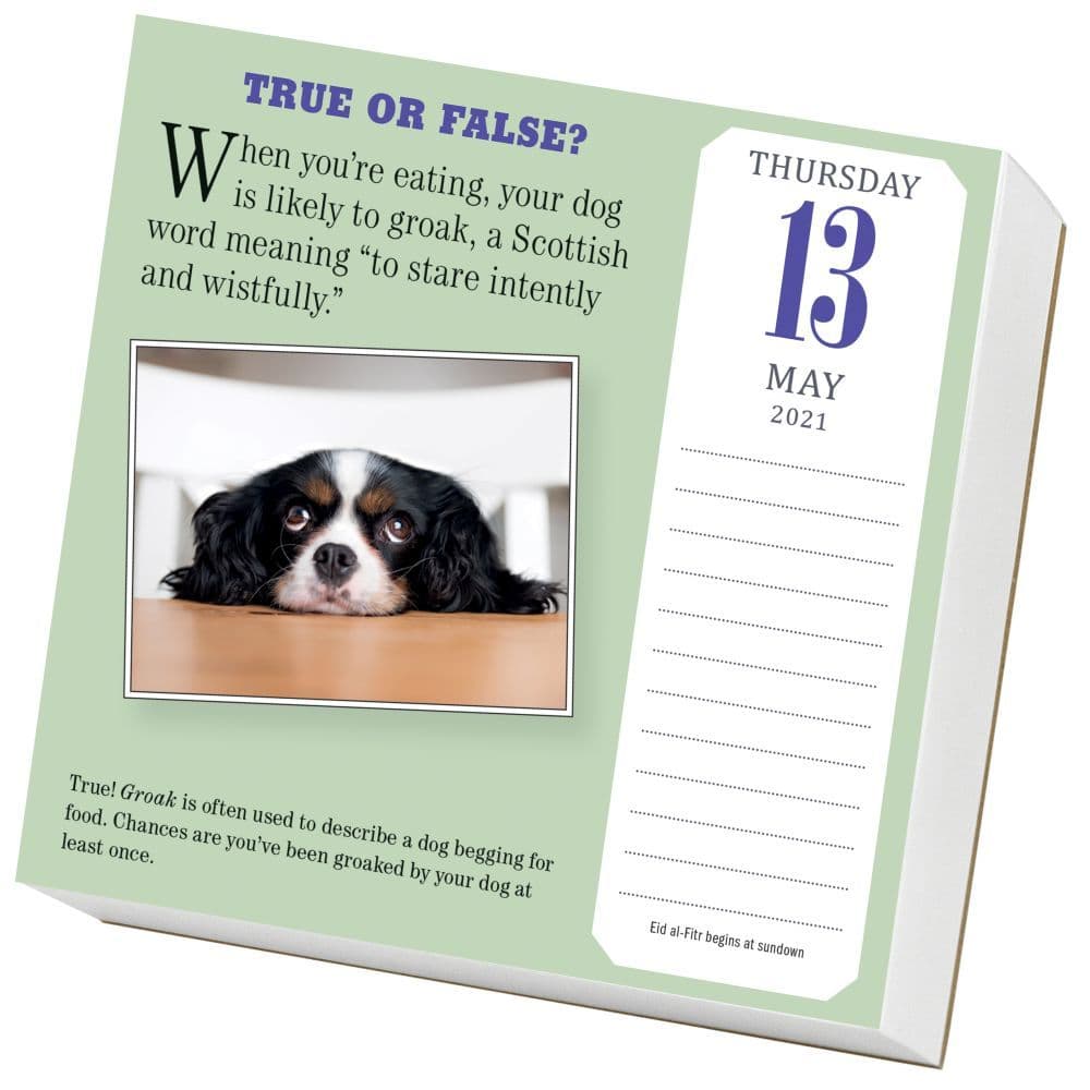 Dog Trivia Desk Calendar - Calendars.com