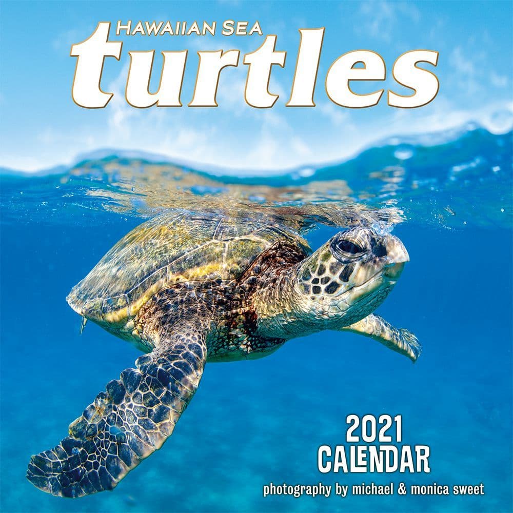 2021 Hawaii Sea Turtles Wall Calendar