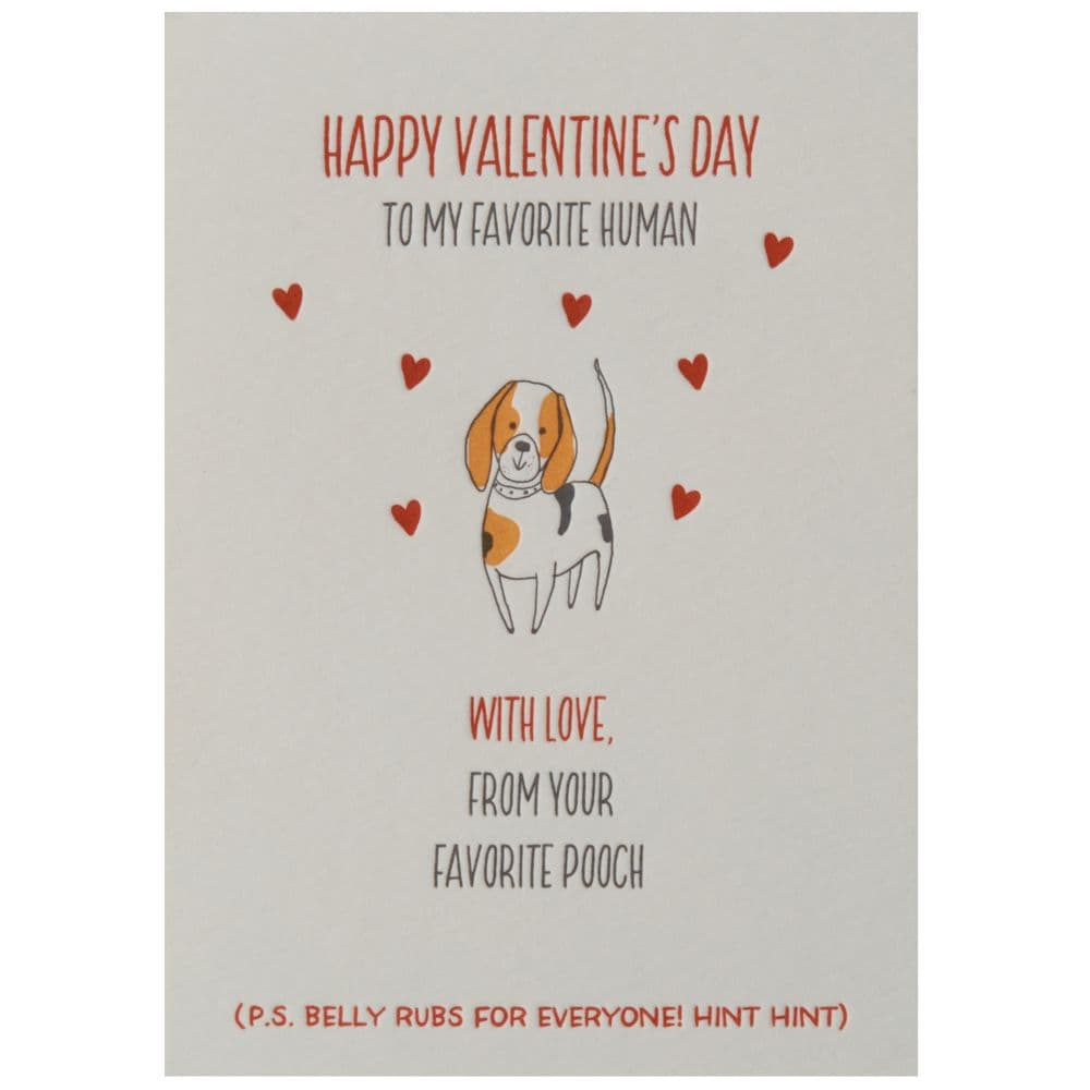 From Your Favorite Pooch Valentine's Day Card First Alternate Image width="1000" height="1000"