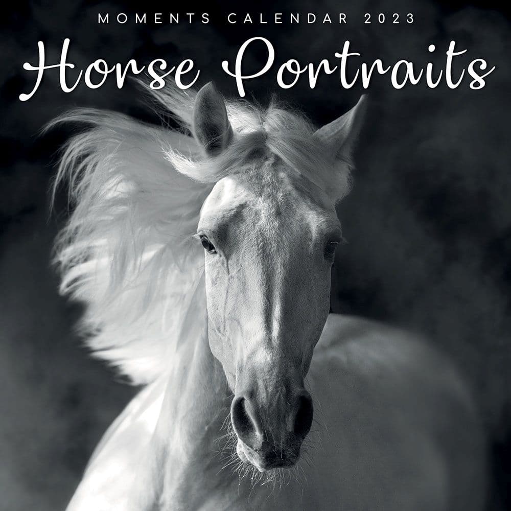 The Gifted Stationery Co Ltd Horse Portraits 2023 Wall Calendar