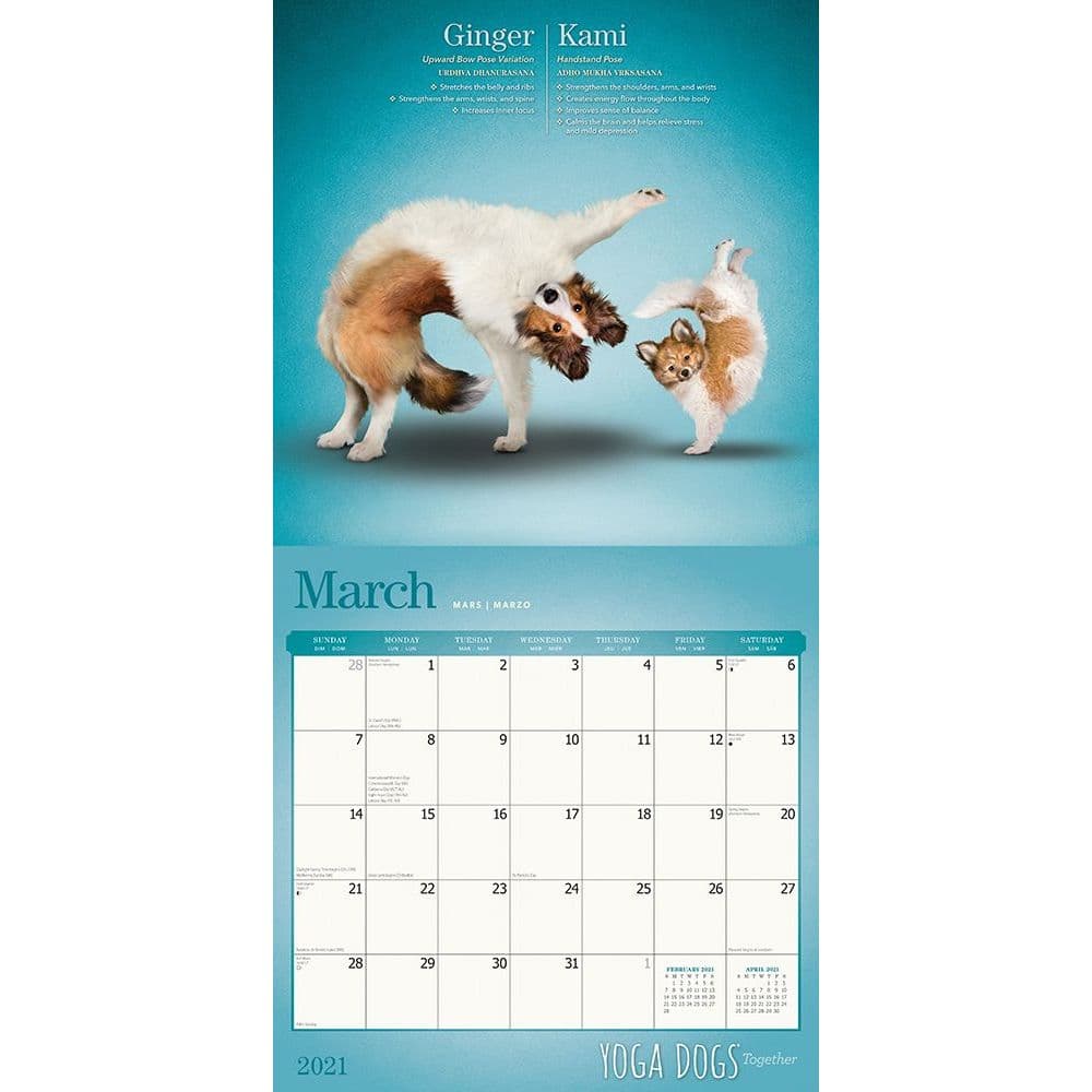 Yoga Dogs Together Wall Calendar