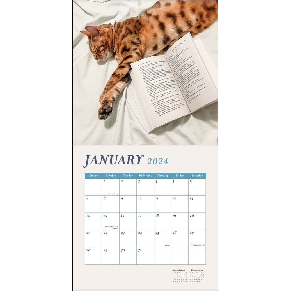 cats-and-books-2024-wall-calendar-alt2