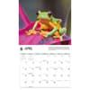image Frogs WWF 2026 Wall Calendar Second Alternate Image