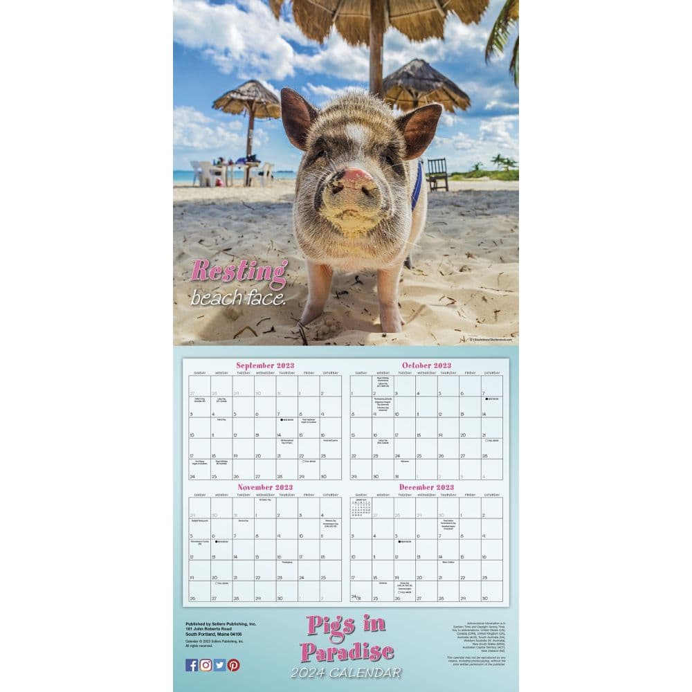 Pigs in Paradise 2024 Wall Calendar Alternate Image 4