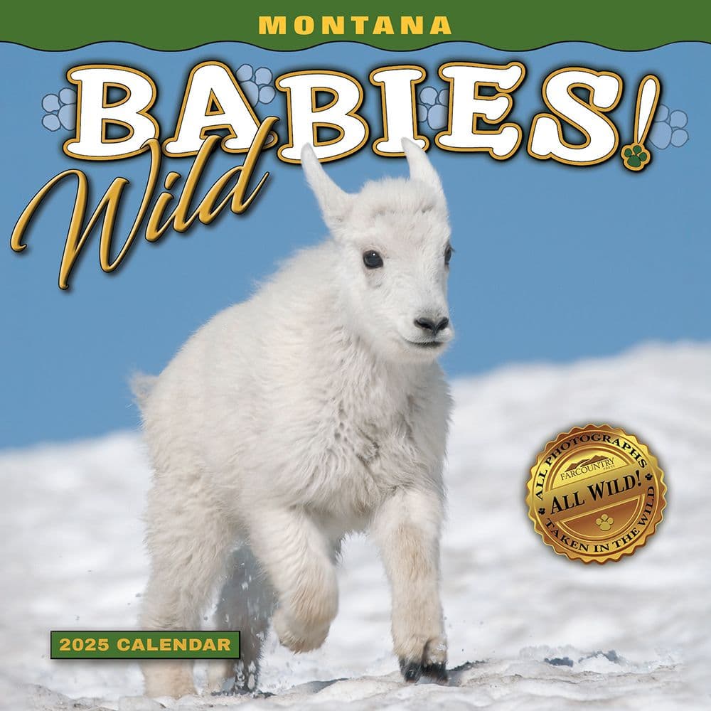 Montana Wild Babies 2025 Mini Wall Calendar