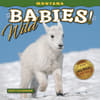 image Montana Wild Babies 2025 Mini Wall Calendar_Main Image