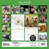 image Baby Animals Photo 2025 Wall Calendar First Alternate Image width="1000" height="1000"