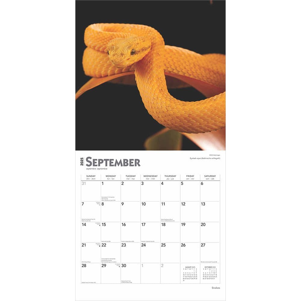 Snakes 2025 Wall Calendar