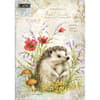 image Field Guide 2026 Planner Main Image