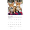 image Just Corgis 2025 Wall Calendar