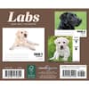 image Labs 2026 Desk Calendar First Alternate Image