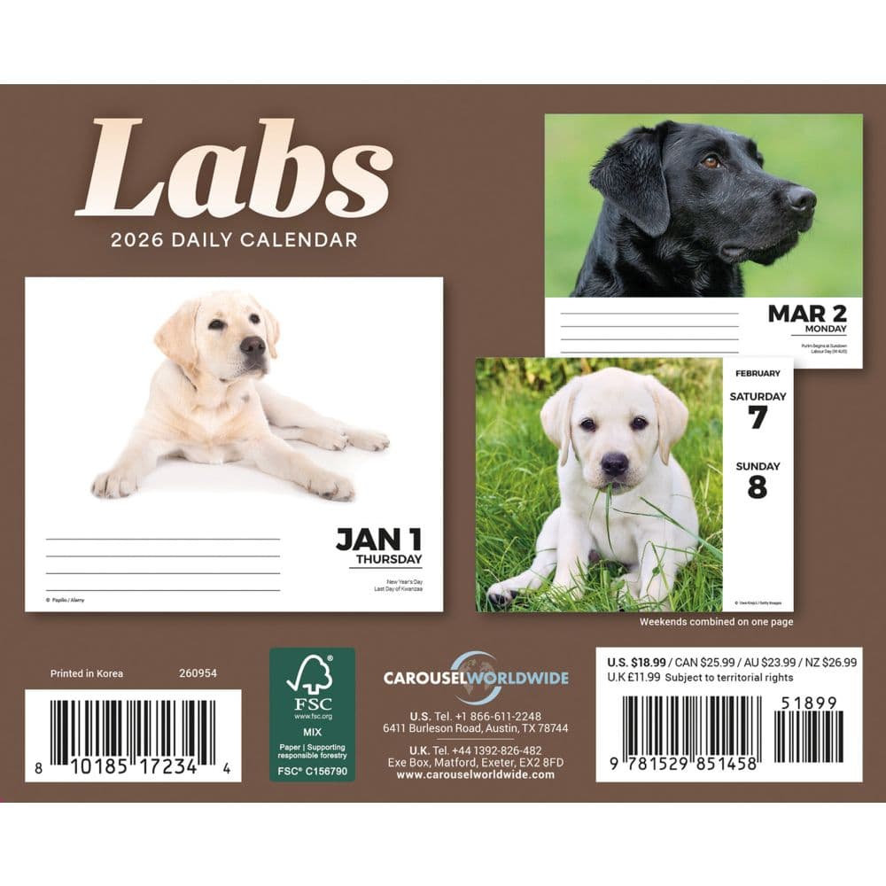 Labs 2026 Desk Calendar First Alternate Image