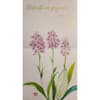 image Exotic Orchids 2024 Wall Calendar Fifth Alternate Image width=&quot;1000&quot; height=&quot;1000&quot;