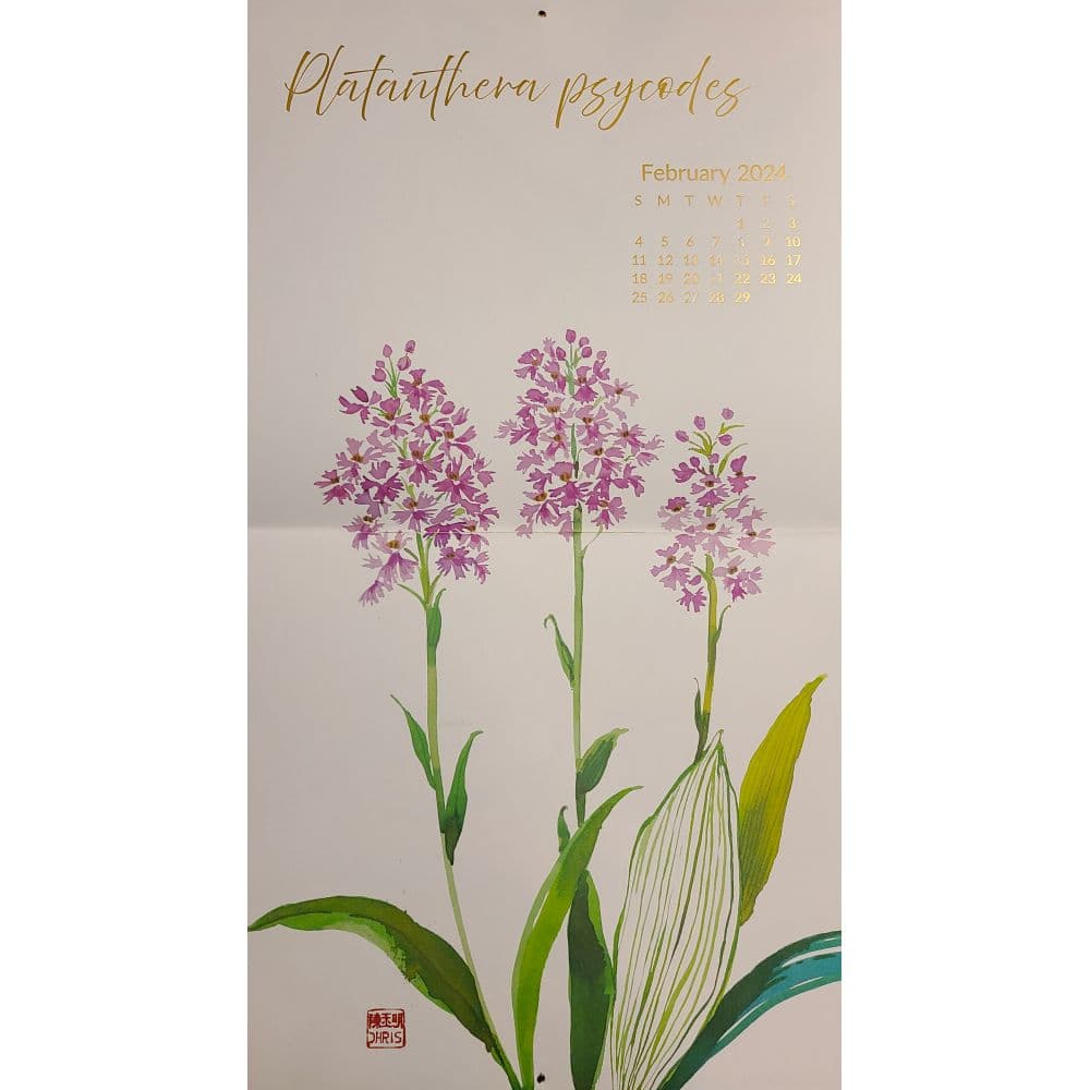 Exotic Orchids 2024 Wall Calendar Fifth Alternate Image width=&quot;1000&quot; height=&quot;1000&quot;