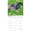 image Kittens I Love 2026 Wall Calendar Fourth Alternate Image