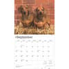 image Dachshunds Deluxe 2025 Wall Calendar