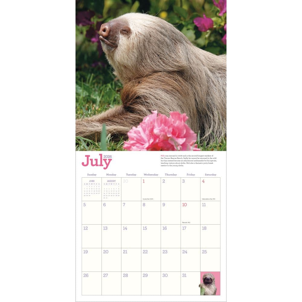 Hangin With Sloths 2026 Wall Calendar Third Alternate Image