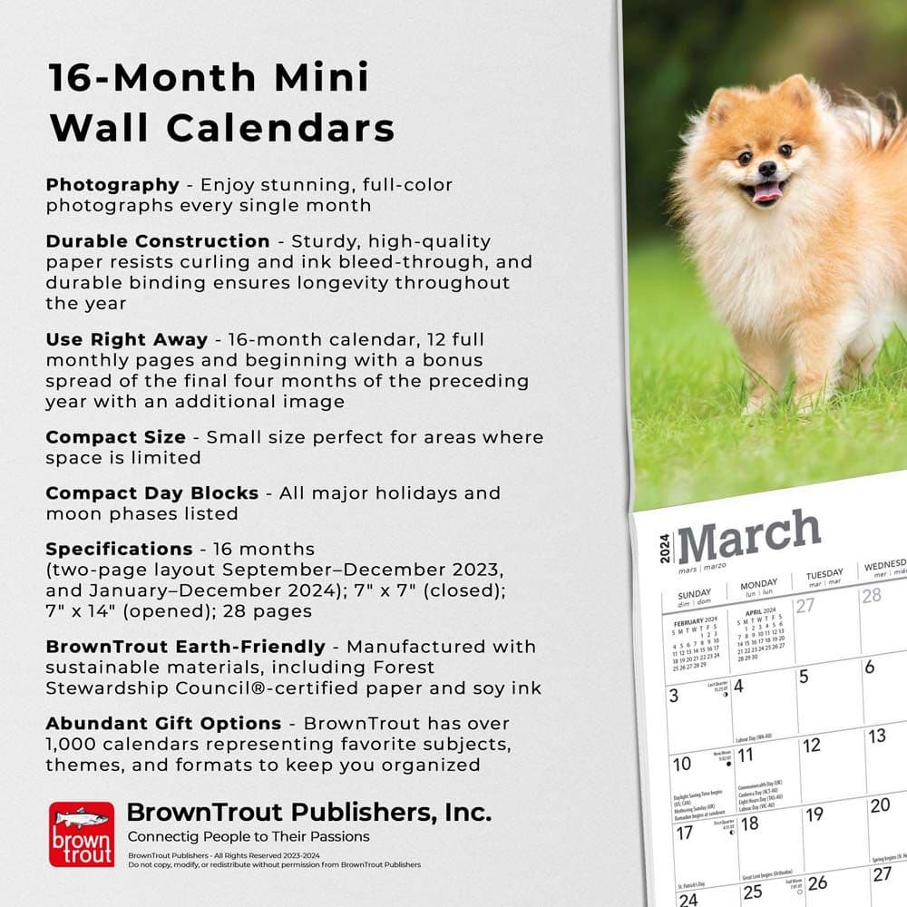 Pomeranian 2024 Mini Wall Calendar