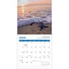 image Sea Turtles 2026 Mini Wall Calendar Second Alternate Image