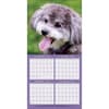 image Doodle Dogs Photo 2026 Wall Calendar