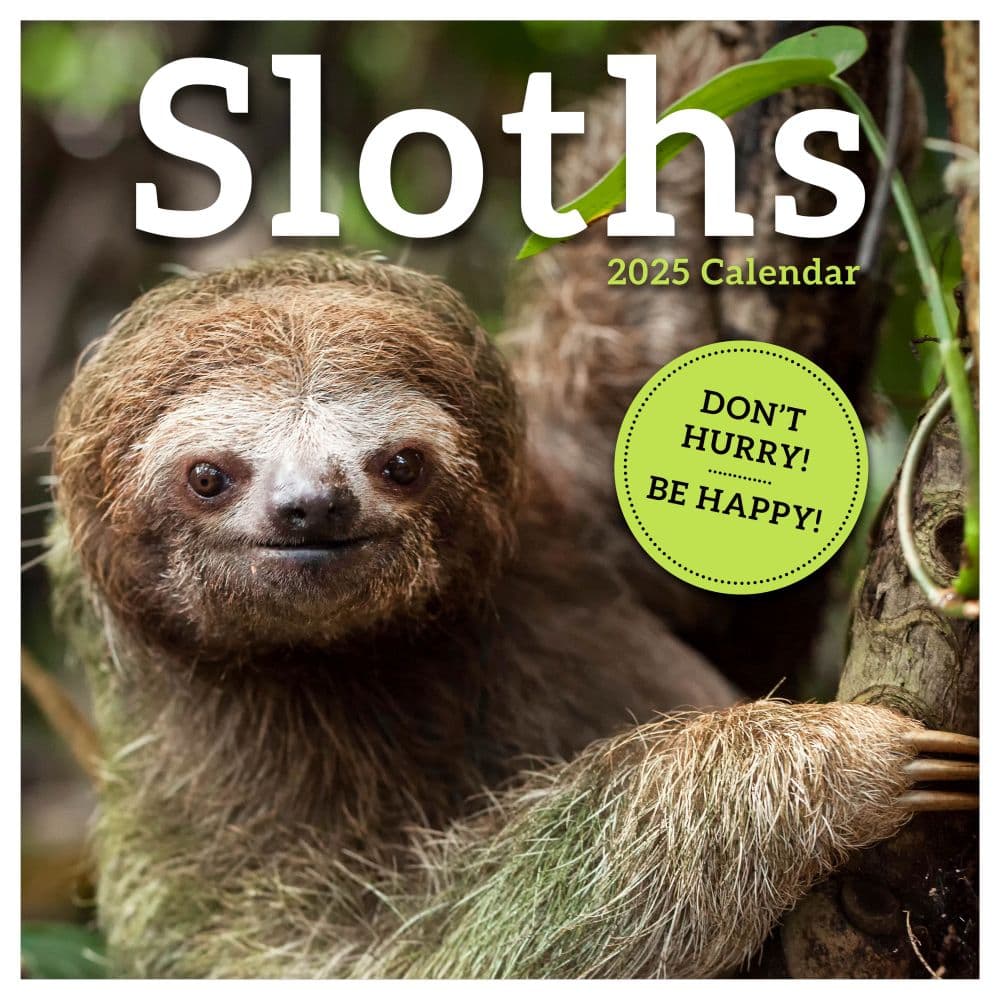 Sloths 2025 Wall Calendar