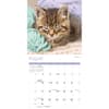 image Naptime Cats Special Value 2026 Wall Calendar Third Alternate Image