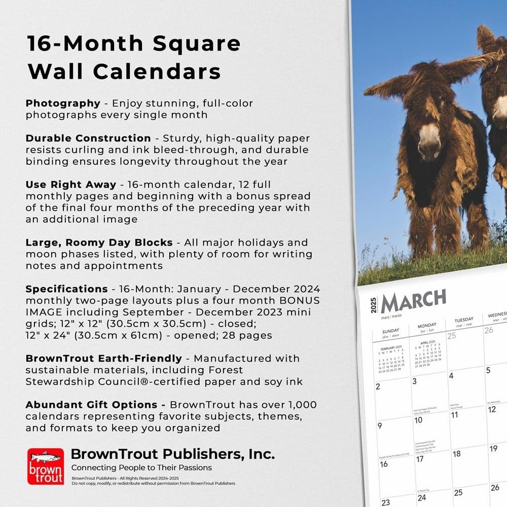 Donkeys 2025 Wall Calendar Fifth Alternate Image