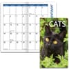 image Cats 2 Year 2025 Pocket Planner Fourth Alternate Image width="1000" height="1000"