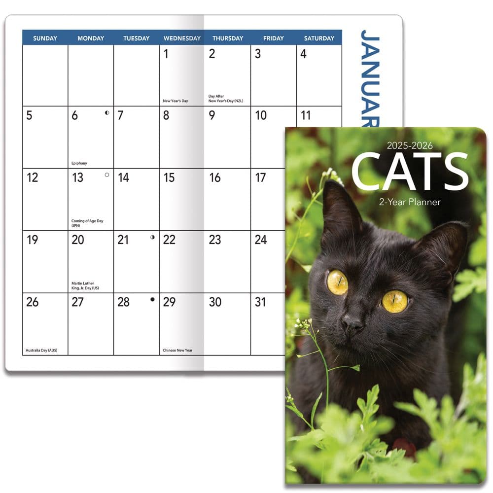 Cats 2 Year 2025 Pocket Planner Fourth Alternate Image width="1000" height="1000"