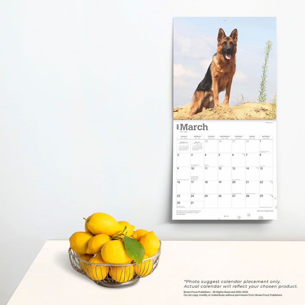 German Shepherds 2025 Wall Calendar