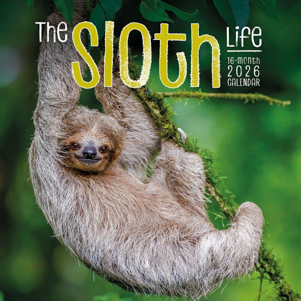 Sloth Life 2026 Wall Calendar Main Image