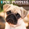 image Just Pug Puppies 2025 Wall Calendar Main Image