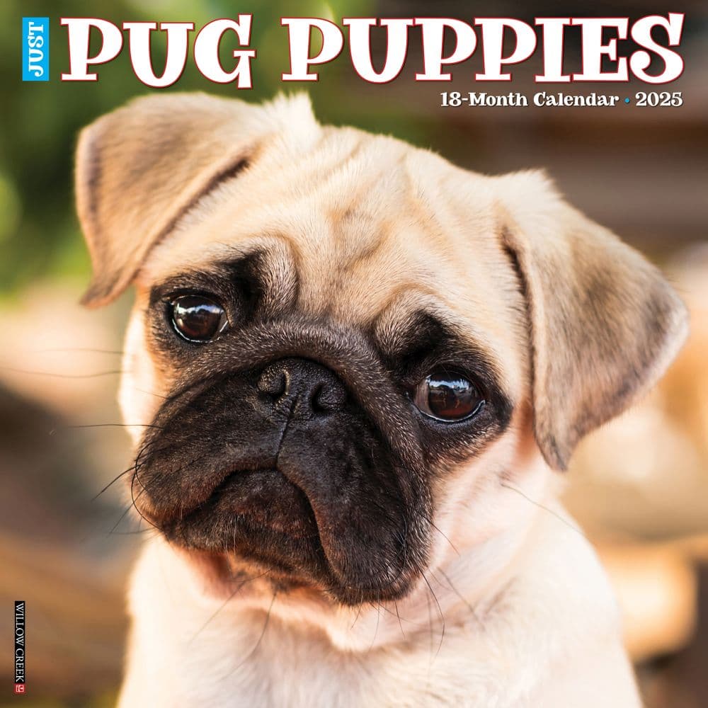 Just Pug Puppies 2025 Wall Calendar Main Image