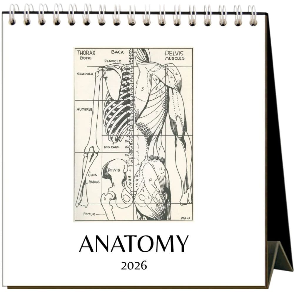 Anatomy 2026 Easel Desk Calendar Main Product Image