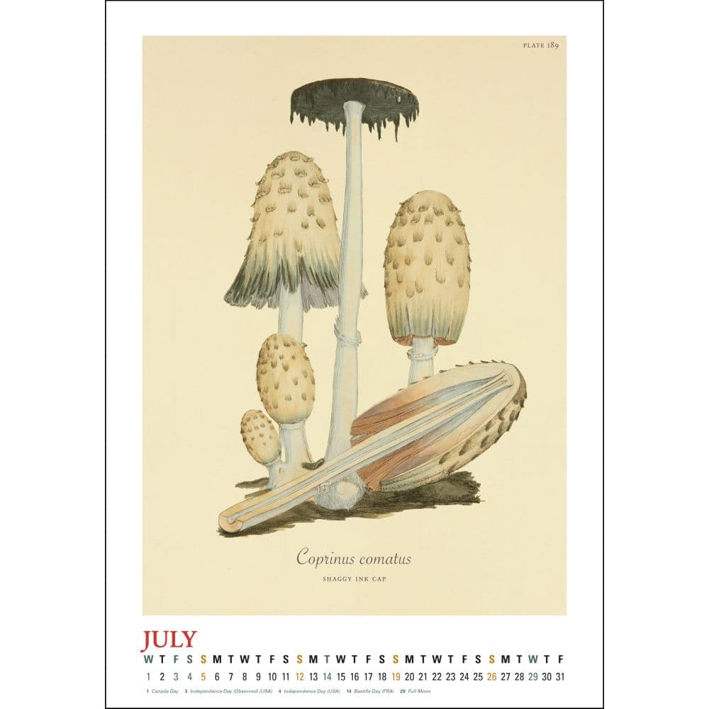 Mushroom Botanicals 2026 Wall Calendar Second Alternate Image
