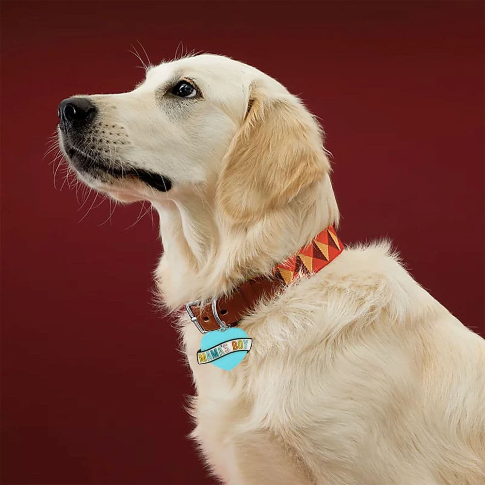 Mama's Boy Dog Collar