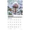 image Mushroom Art 2025 Wall Calendar January