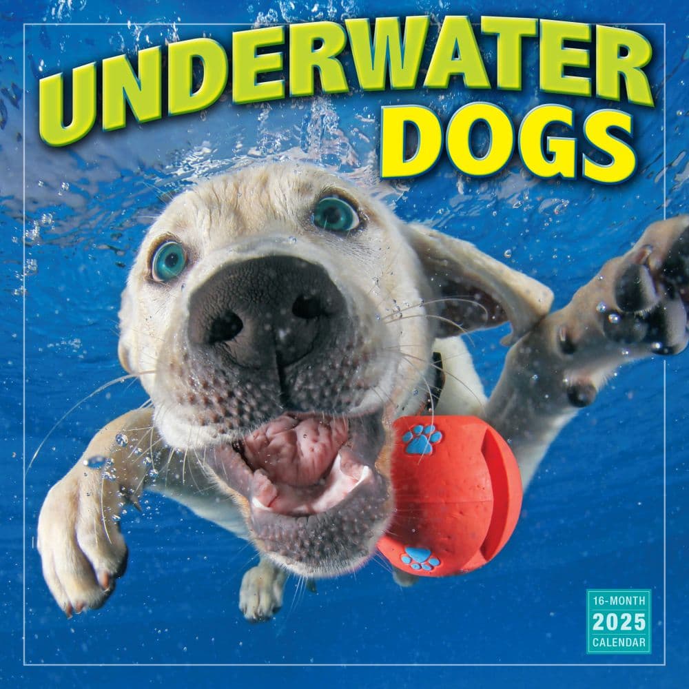 Underwater Dogs by Seth Casteel 2025 Wall Calendar