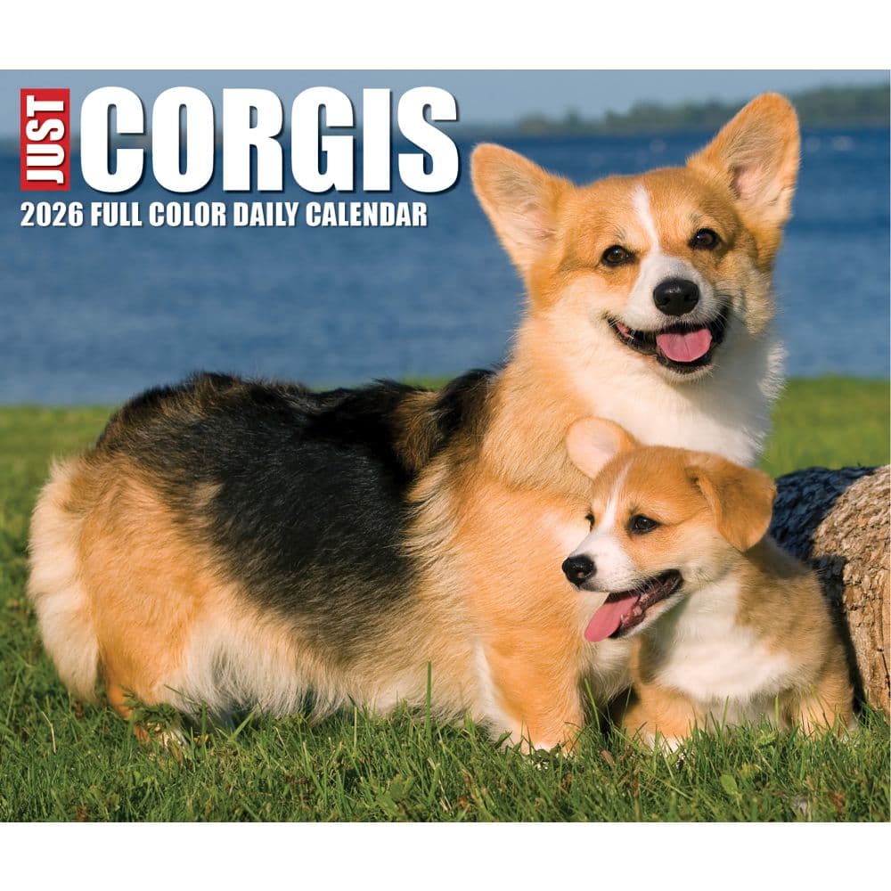 Just Corgis 2026 Desk Calendar Fourth Alternate Image