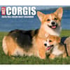 image Just Corgis 2026 Desk Calendar Fourth Alternate Image