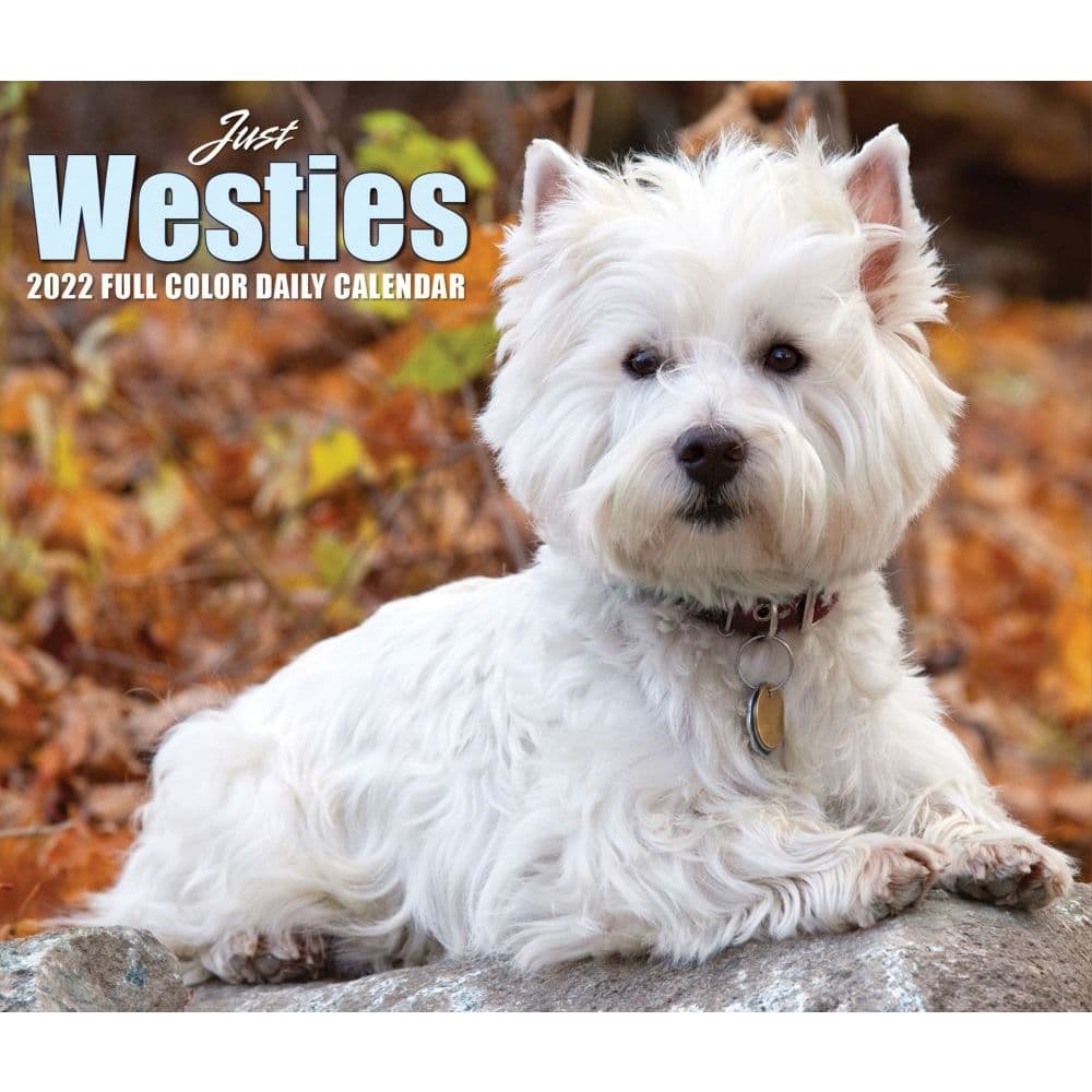 Just Westies 2022 Desk Calendar
