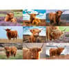 image Highland Cows 1000 Piece Puzzle art