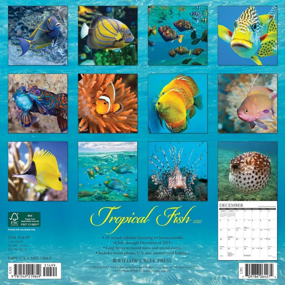 Tropical Fish 2022 Wall Calendar - Calendars.com