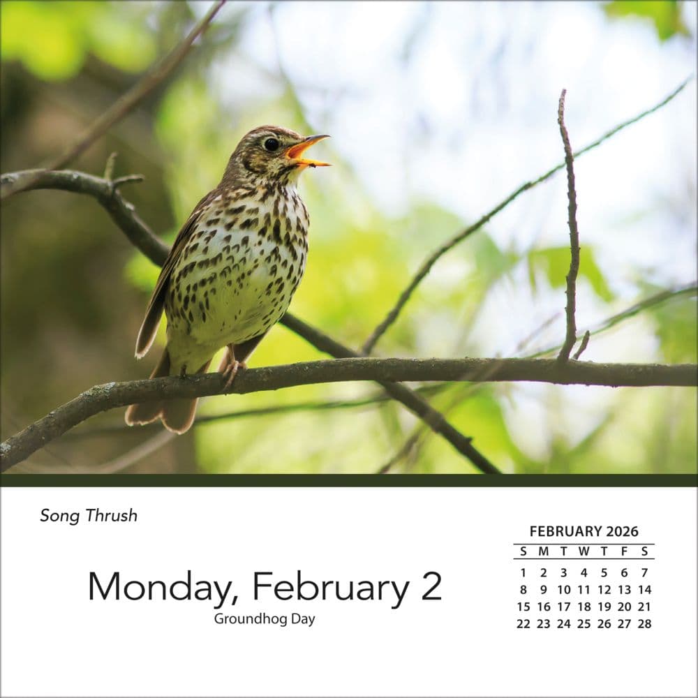 Songbirds 2026 Desk Calendar_ALT3