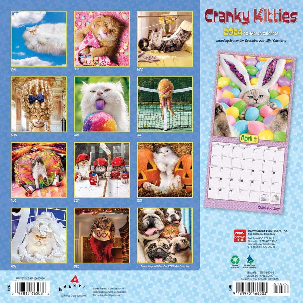 Avanti Cranky Kitties 2024 Wall Calendar - Calendars.com