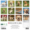 image Just Yellow Labs 2025 Wall Calendar First Alternate Image width=&quot;1000&quot; height=&quot;1000&quot;