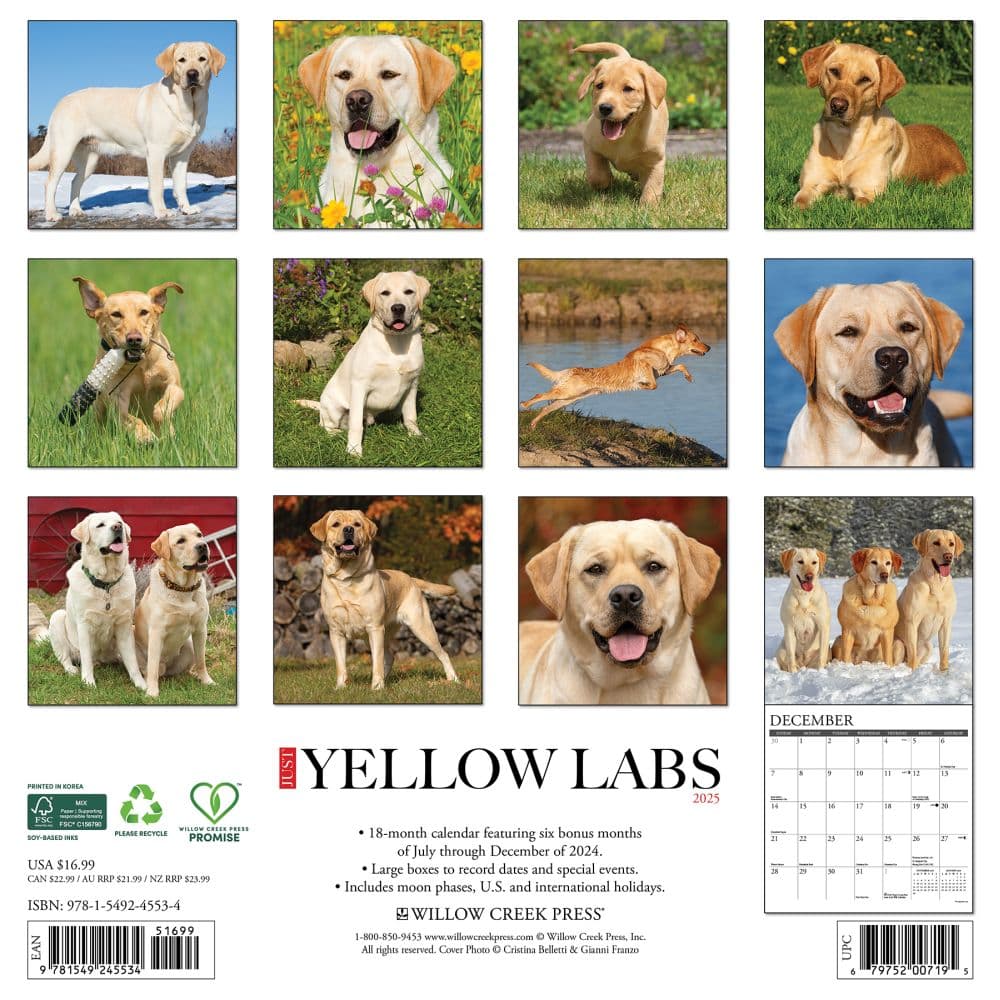 Just Yellow Labs 2025 Wall Calendar First Alternate Image width=&quot;1000&quot; height=&quot;1000&quot;